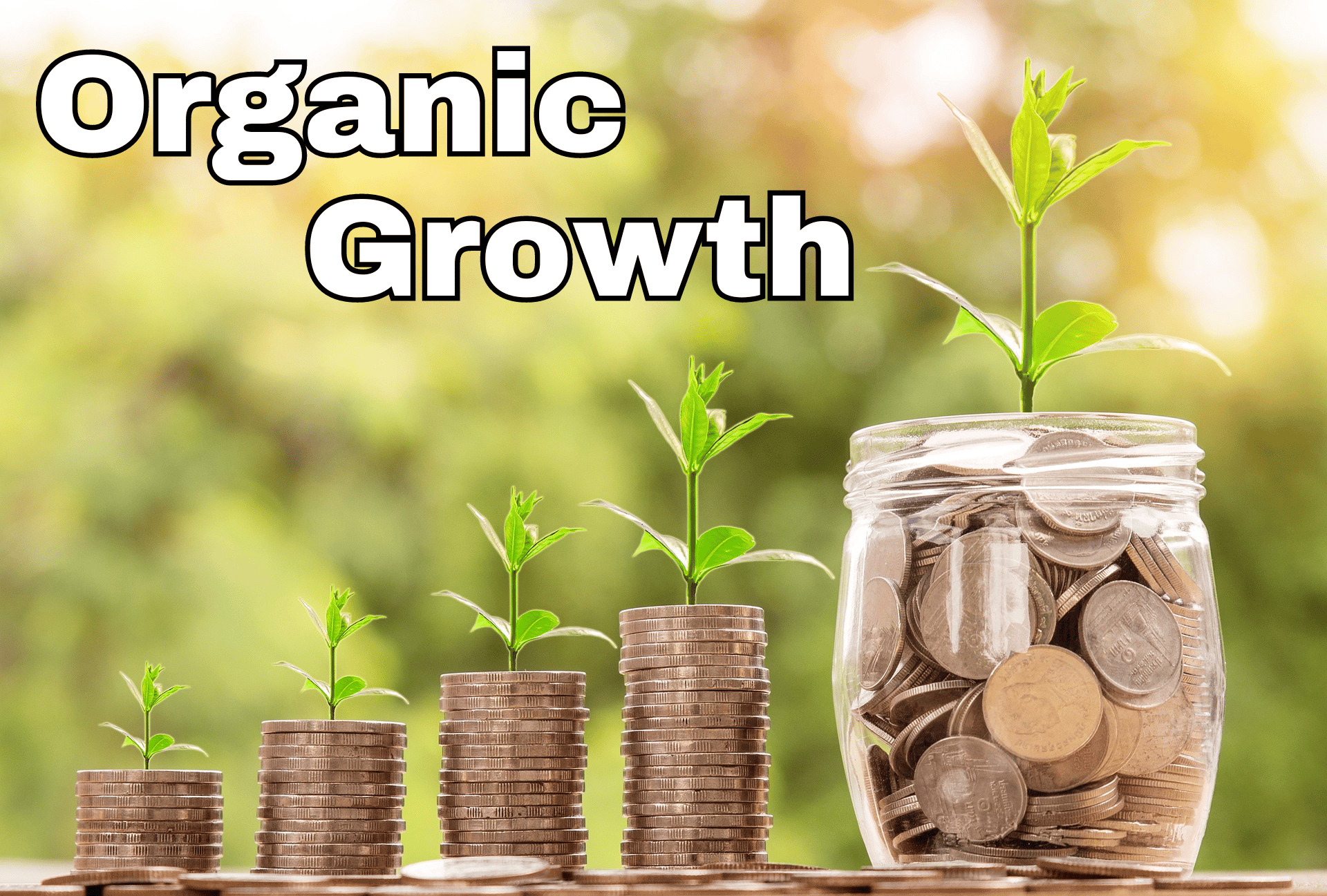 Photo of money growth which equates with organic traffic growth. The more traffic the more money you can earn. Text overlay states: Organic Growth